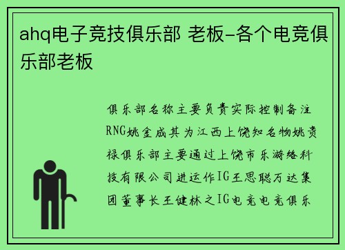 ahq电子竞技俱乐部 老板-各个电竞俱乐部老板